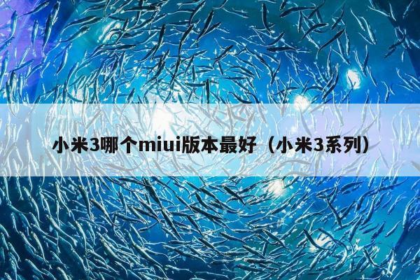 小米3哪个miui版本最好（小米3系列）