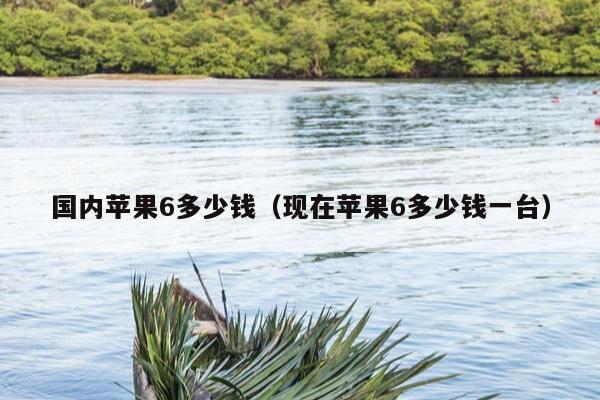 国内苹果6多少钱（现在苹果6多少钱一台）