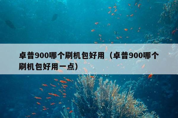 卓普900哪个刷机包好用（卓普900哪个刷机包好用一点）