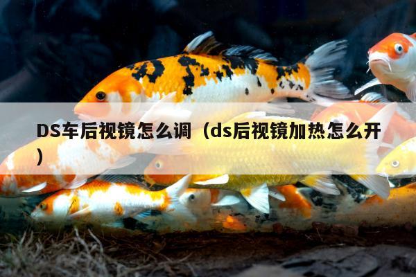 DS车后视镜怎么调（ds后视镜加热怎么开）