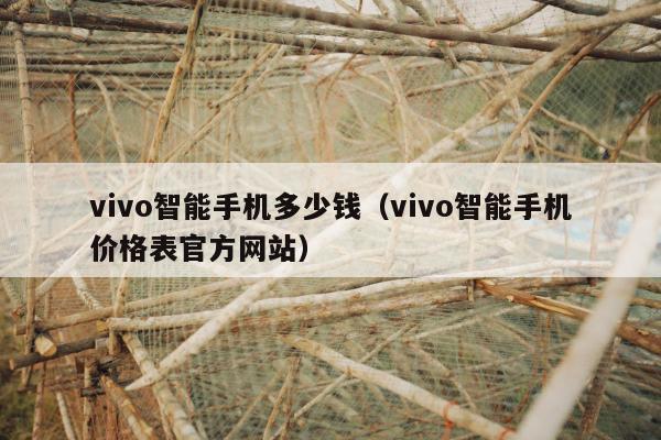 vivo智能手机多少钱（vivo智能手机价格表官方网站）