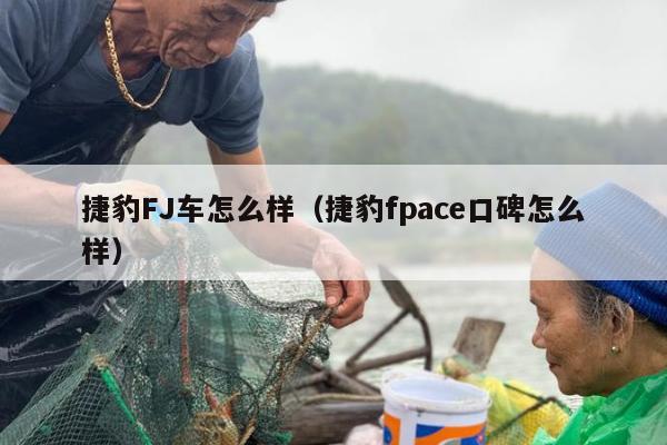 捷豹FJ车怎么样（捷豹fpace口碑怎么样）