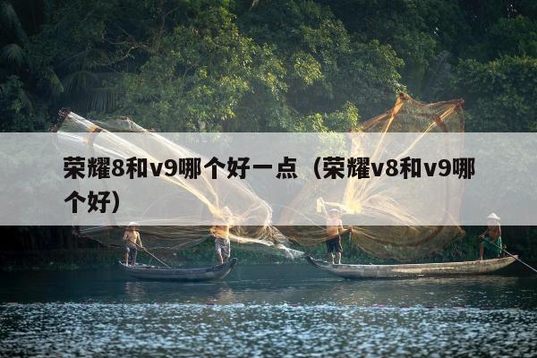 荣耀8和v9哪个好一点（荣耀v8和v9哪个好）