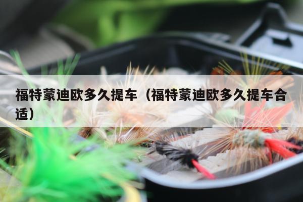 福特蒙迪欧多久提车（福特蒙迪欧多久提车合适）