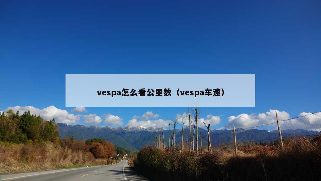 vespa怎么看公里数（vespa车速）