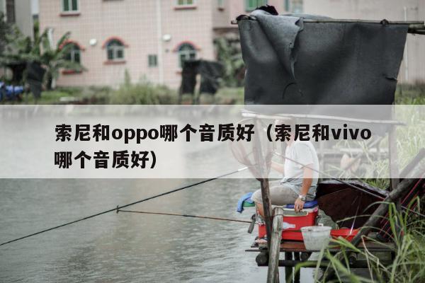 索尼和oppo哪个音质好（索尼和vivo哪个音质好）