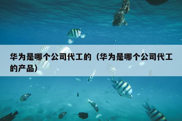 华为是哪个公司代工的（华为是哪个公司代工的产品）