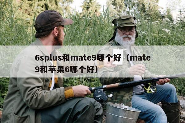 6splus和mate9哪个好（mate9和苹果6哪个好）