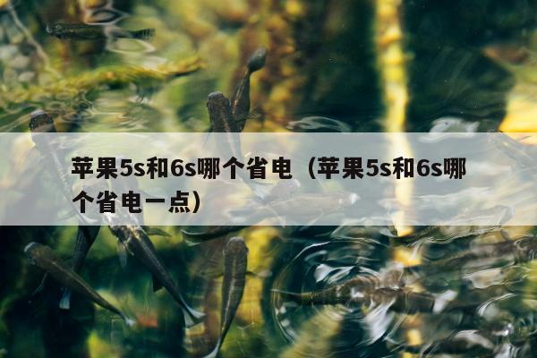 苹果5s和6s哪个省电（苹果5s和6s哪个省电一点）