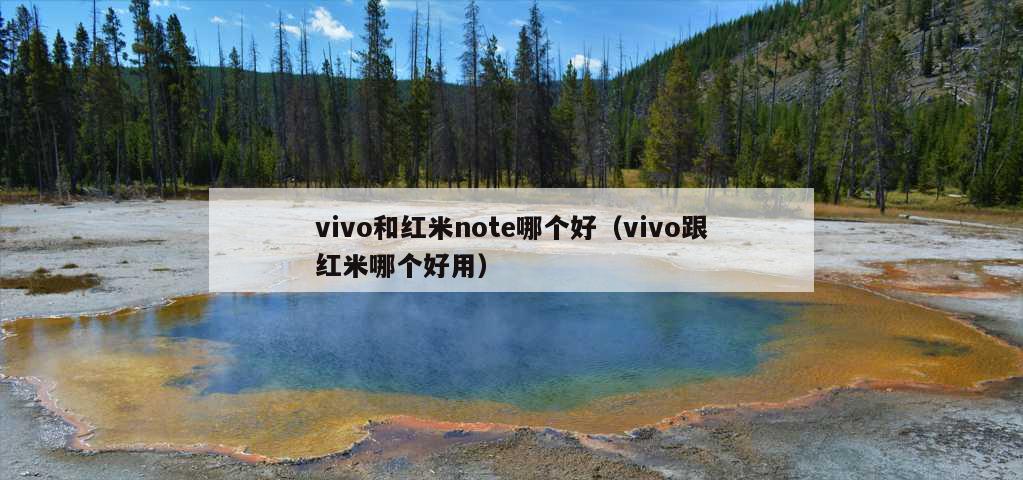 vivo和红米note哪个好（vivo跟红米哪个好用）