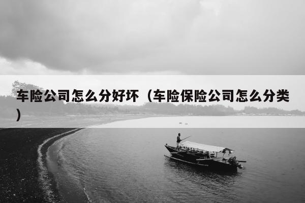 车险公司怎么分好坏（车险保险公司怎么分类）