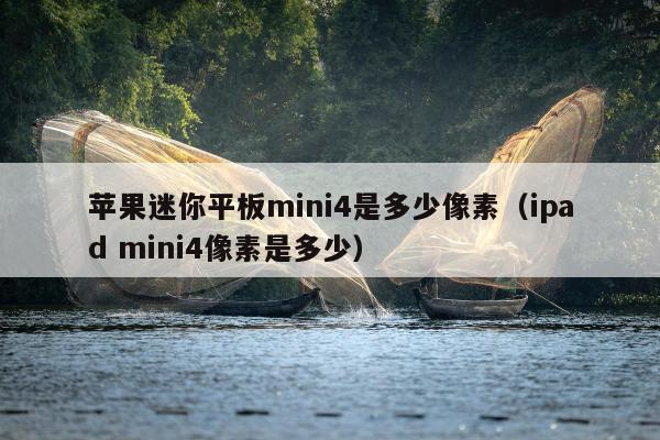 苹果迷你平板mini4是多少像素（ipad mini4像素是多少）