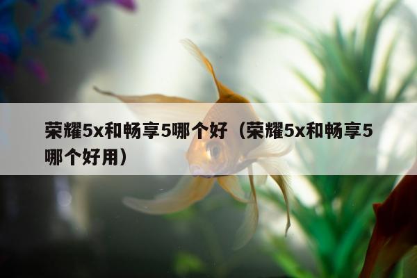 荣耀5x和畅享5哪个好（荣耀5x和畅享5哪个好用）