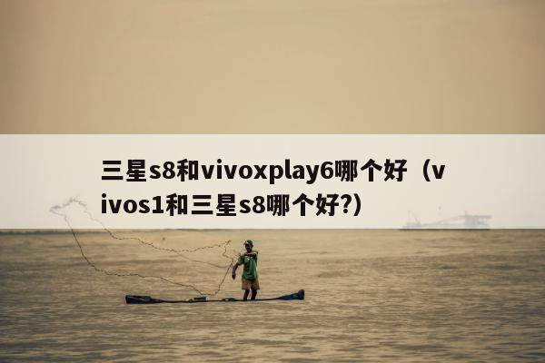 三星s8和vivoxplay6哪个好（vivos1和三星s8哪个好?）