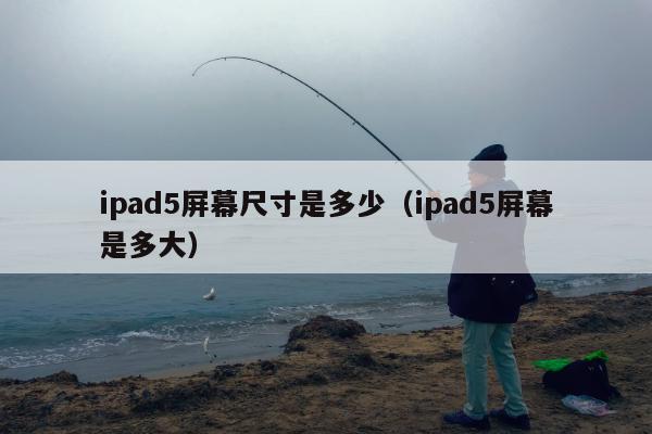 ipad5屏幕尺寸是多少（ipad5屏幕是多大）