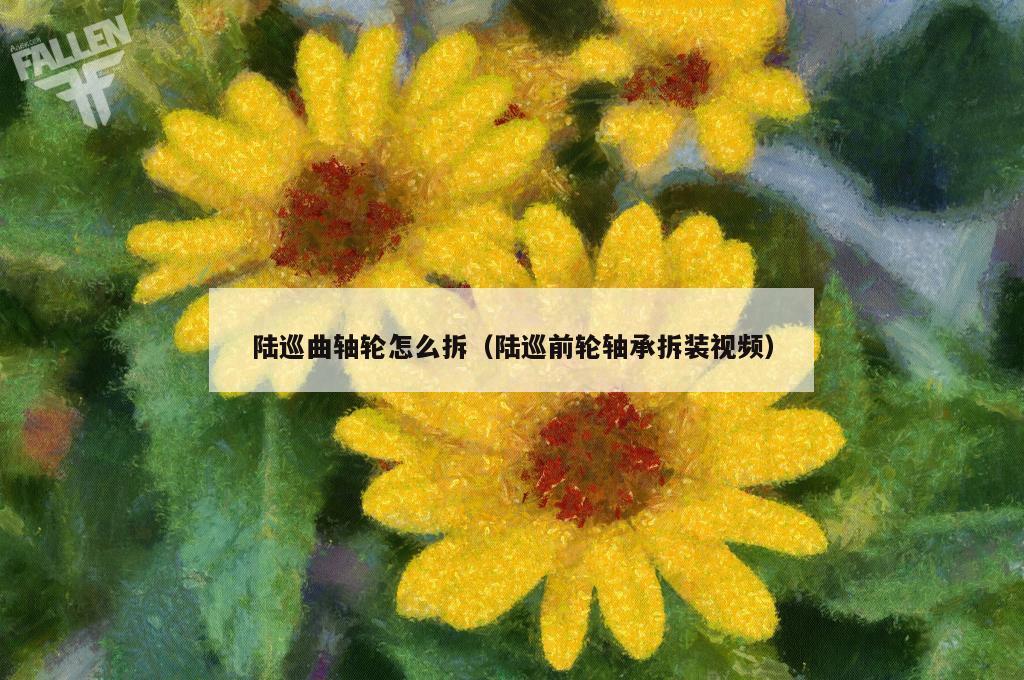 陆巡曲轴轮怎么拆（陆巡前轮轴承拆装视频）