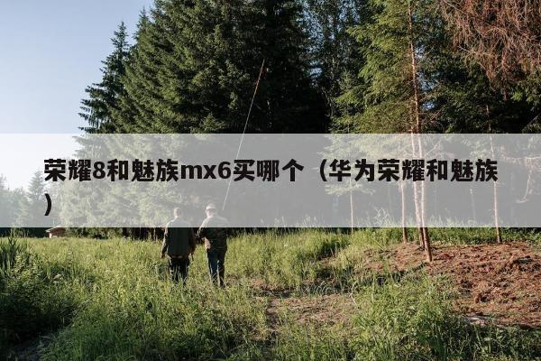 荣耀8和魅族mx6买哪个（华为荣耀和魅族）