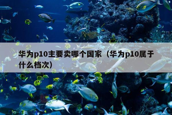 华为p10主要卖哪个国家（华为p10属于什么档次）