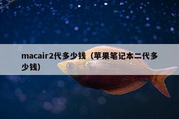 macair2代多少钱（苹果笔记本二代多少钱）