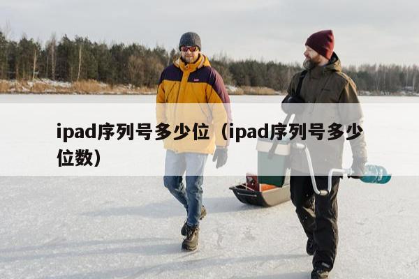 ipad序列号多少位（ipad序列号多少位数）