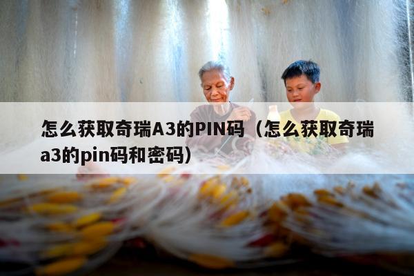 怎么获取奇瑞A3的PIN码（怎么获取奇瑞a3的pin码和密码）