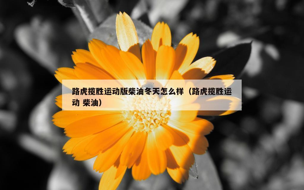 路虎揽胜运动版柴油冬天怎么样（路虎揽胜运动 柴油）