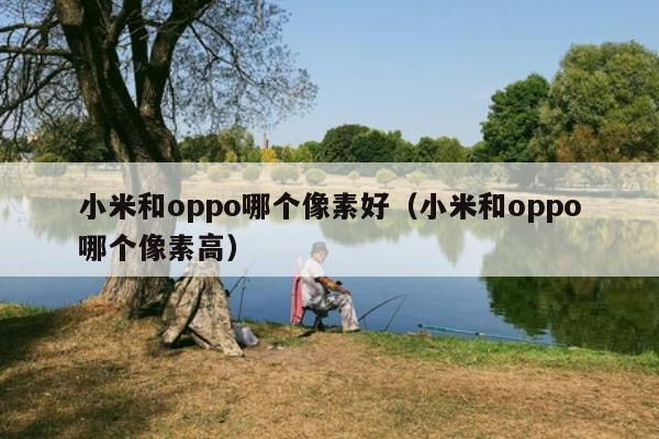 小米和oppo哪个像素好（小米和oppo哪个像素高）