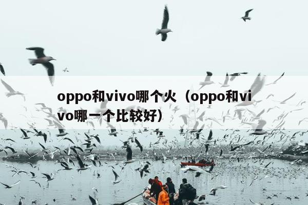 oppo和vivo哪个火（oppo和vivo哪一个比较好）