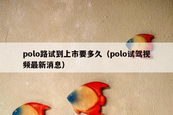 polo路试到上市要多久（polo试驾视频最新消息）