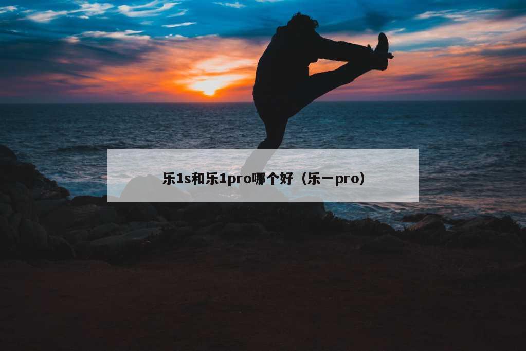 乐1s和乐1pro哪个好（乐一pro）