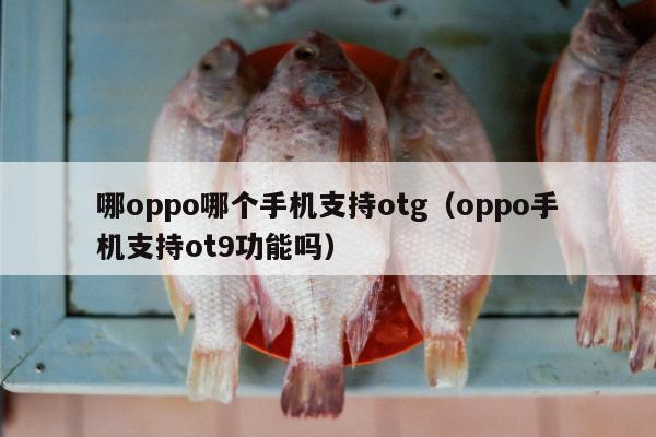 哪oppo哪个手机支持otg（oppo手机支持ot9功能吗）