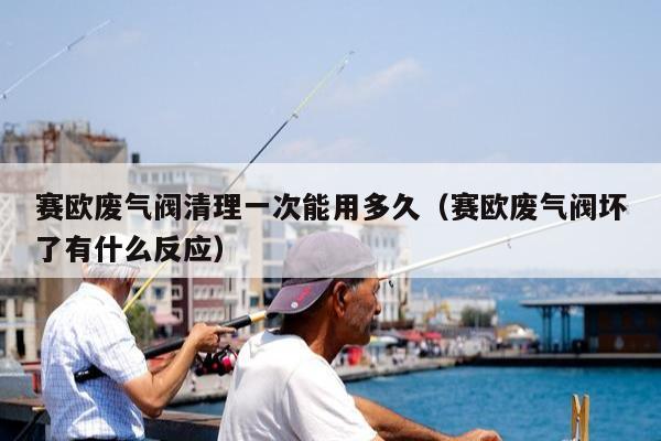 赛欧废气阀清理一次能用多久（赛欧废气阀坏了有什么反应）