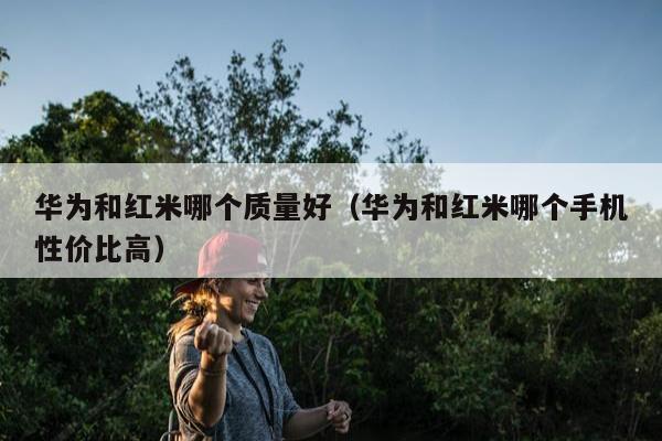 华为和红米哪个质量好（华为和红米哪个手机性价比高）