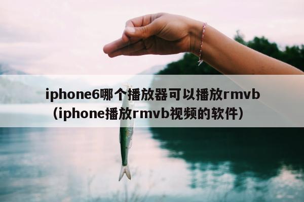 iphone6哪个播放器可以播放rmvb（iphone播放rmvb视频的软件）