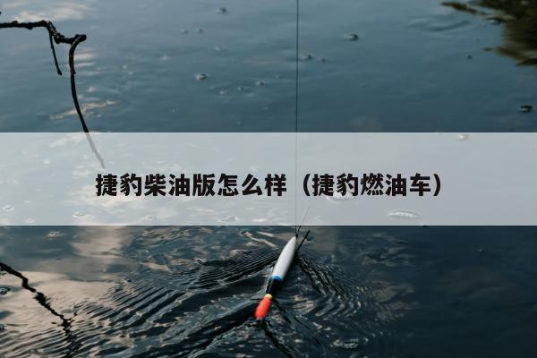 捷豹柴油版怎么样（捷豹燃油车）