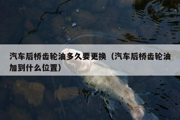 汽车后桥齿轮油多久要更换（汽车后桥齿轮油加到什么位置）