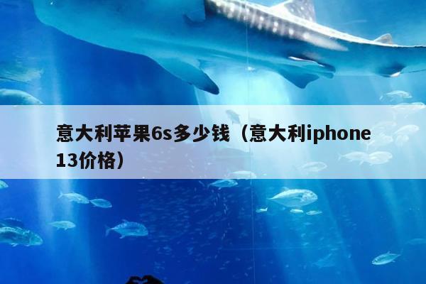 意大利苹果6s多少钱（意大利iphone13价格）