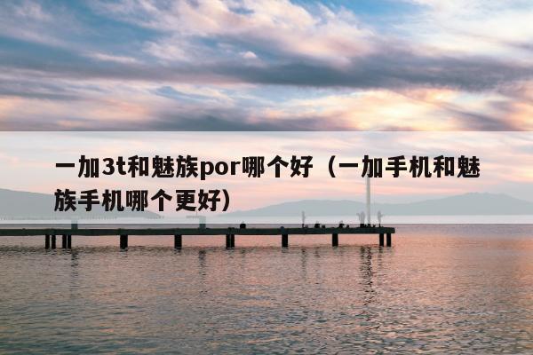 一加3t和魅族por哪个好（一加手机和魅族手机哪个更好）