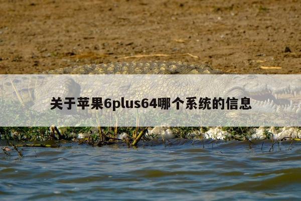 关于苹果6plus64哪个系统的信息