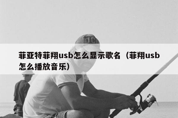 菲亚特菲翔usb怎么显示歌名（菲翔usb怎么播放音乐）