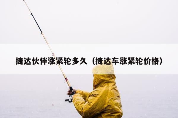 捷达伙伴涨紧轮多久（捷达车涨紧轮价格）