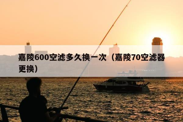 嘉陵600空滤多久换一次（嘉陵70空滤器更换）