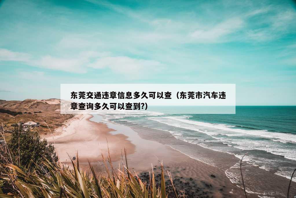 东莞交通违章信息多久可以查（东莞市汽车违章查询多久可以查到?）