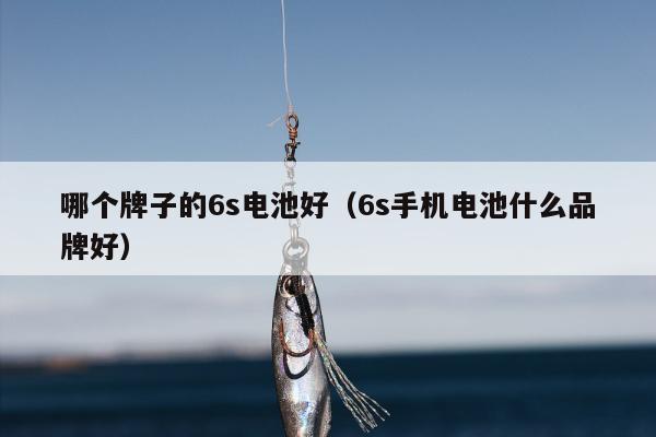 哪个牌子的6s电池好（6s手机电池什么品牌好）