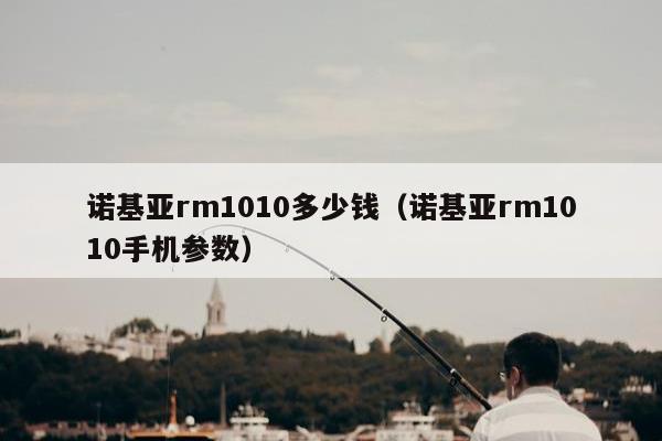 诺基亚rm1010多少钱（诺基亚rm1010手机参数）