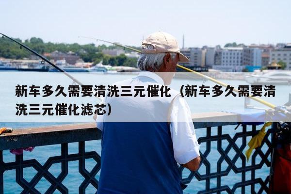 新车多久需要清洗三元催化（新车多久需要清洗三元催化滤芯）