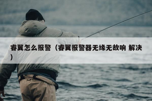 睿翼怎么报警（睿翼报警器无缘无故响 解决）