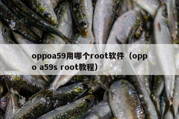 oppoa59用哪个root软件（oppo a59s root教程）