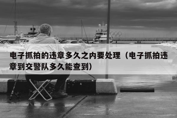 电子抓拍的违章多久之内要处理（电子抓拍违章到交警队多久能查到）