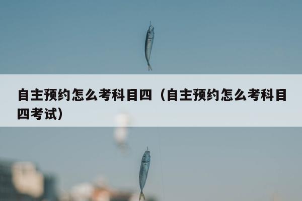 自主预约怎么考科目四（自主预约怎么考科目四考试）